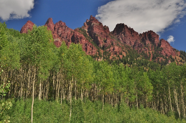 The Sievers Mtn with aspen trees 